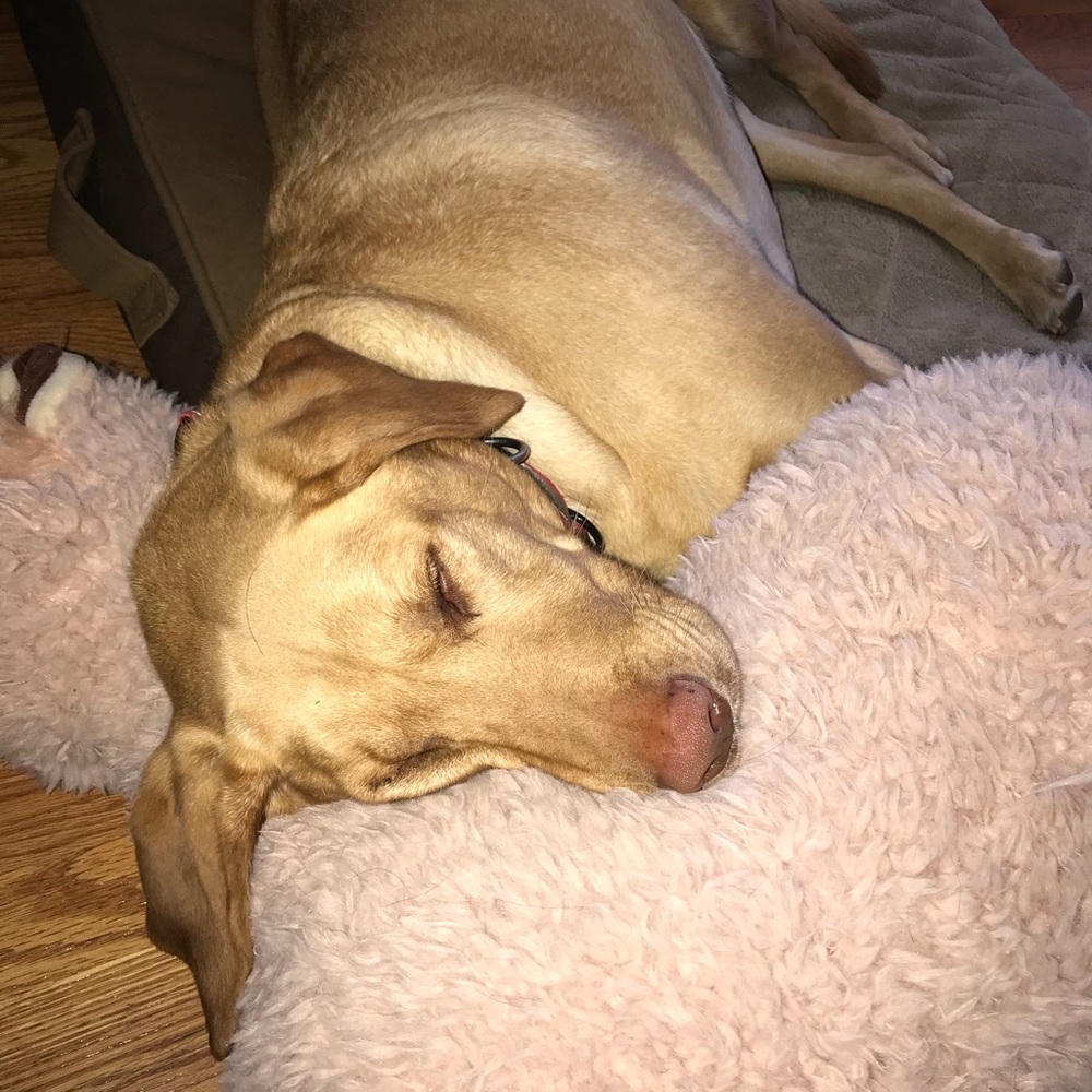 Meet your Posher, Chelsea